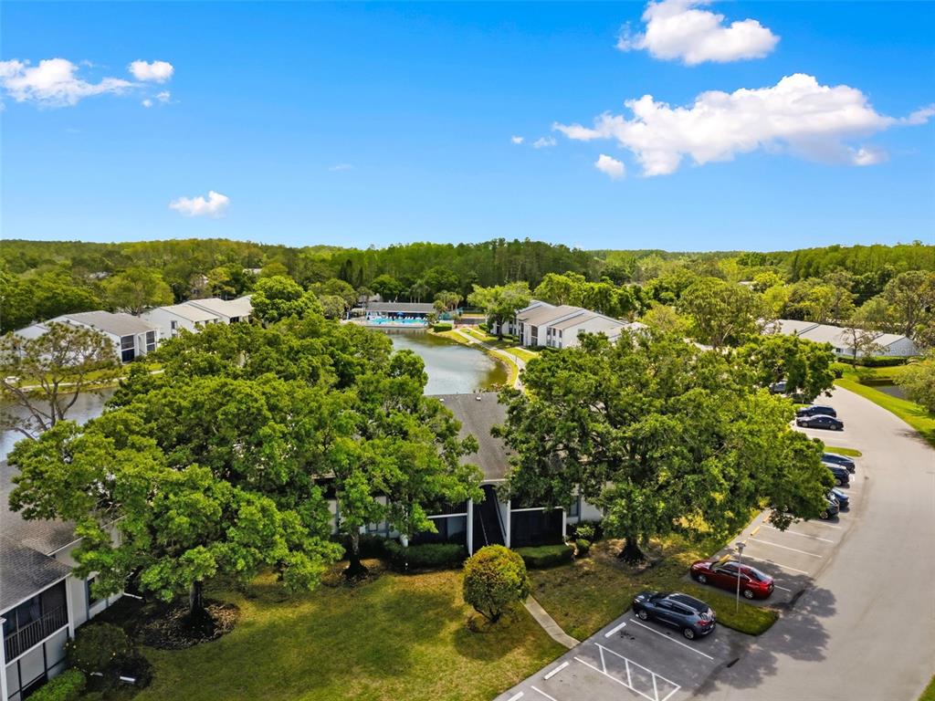 1135 Pine Ridge Circle West, Unit A2 Tarpon Springs, FL 34688 - Photo 46 of 63