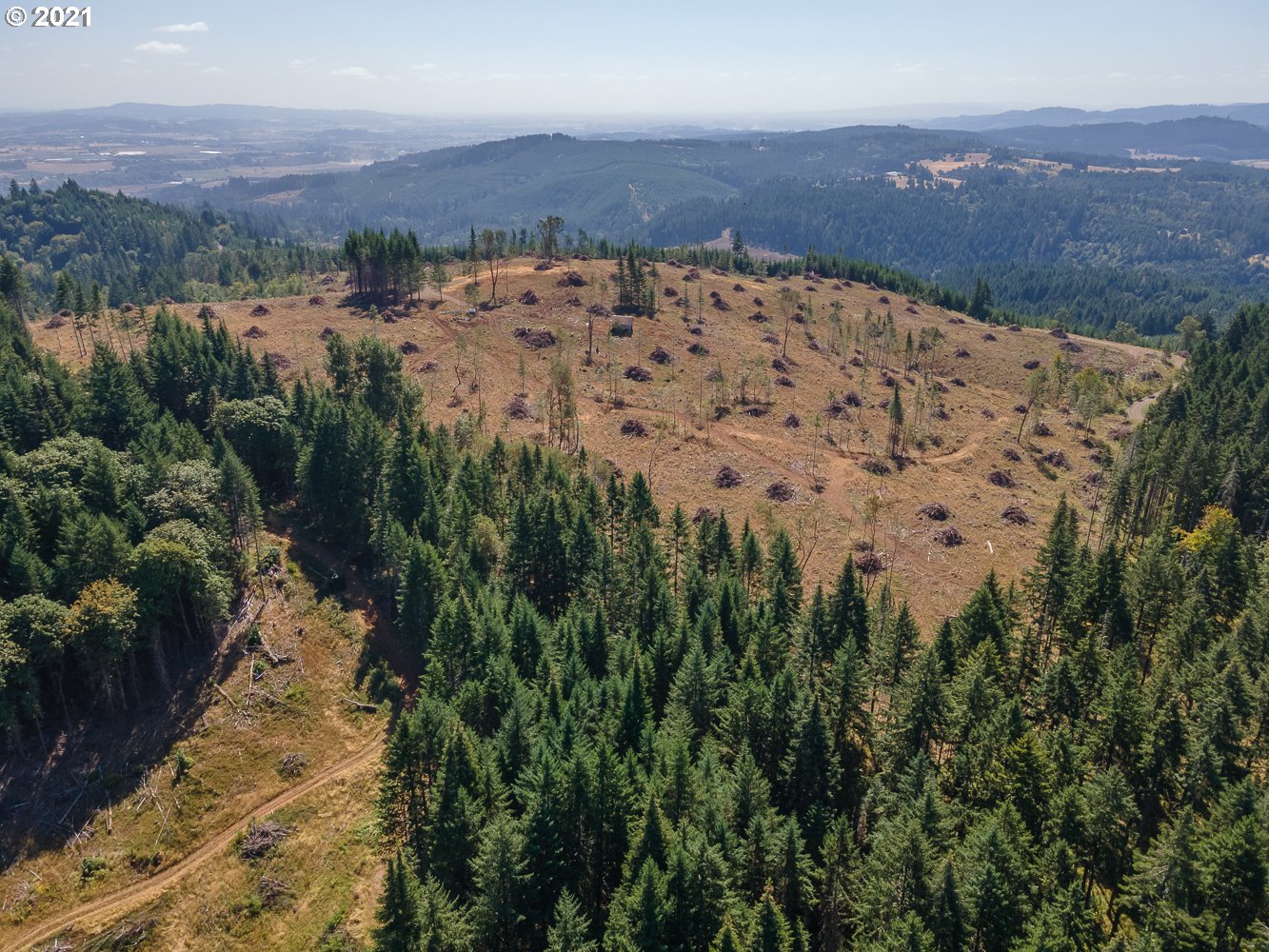 0 Northwest Belt Road Yamhill, OR 97148 - Photo 4 of 12 Gallery Image 4