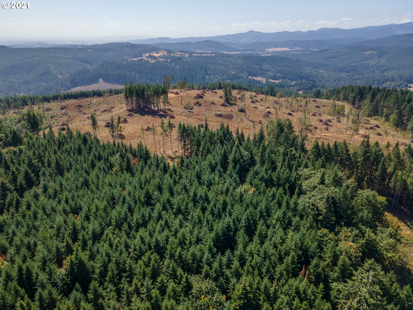 0 Northwest Belt Road Yamhill, OR 97148 - Photo 5 of 12 Gallery Image 5