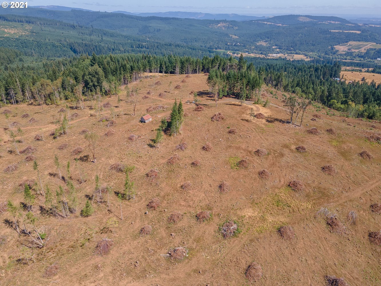 0 Northwest Belt Road Yamhill, OR 97148 - Photo 6 of 12 Gallery Image 6