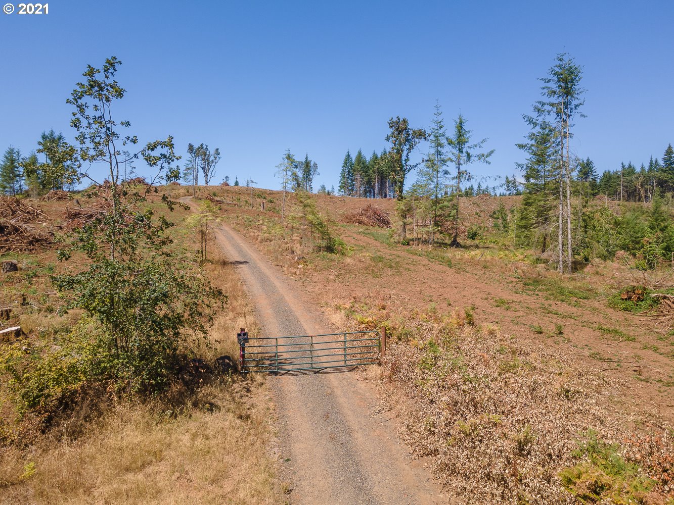 0 Northwest Belt Road Yamhill, OR 97148 - Photo 7 of 12 Gallery Image 7