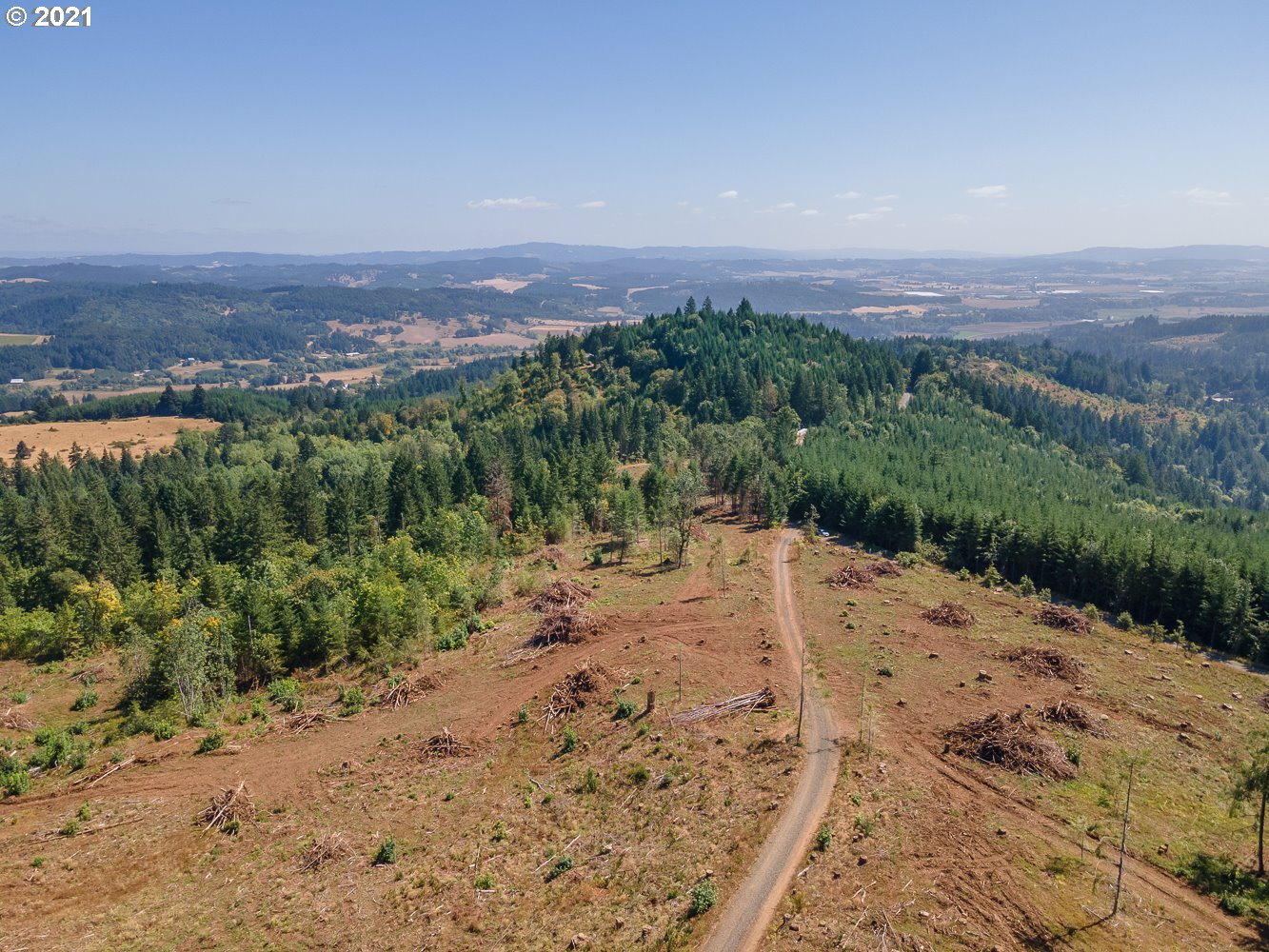 0 Northwest Belt Road Yamhill, OR 97148 - Photo 10 of 12 Gallery Image 10