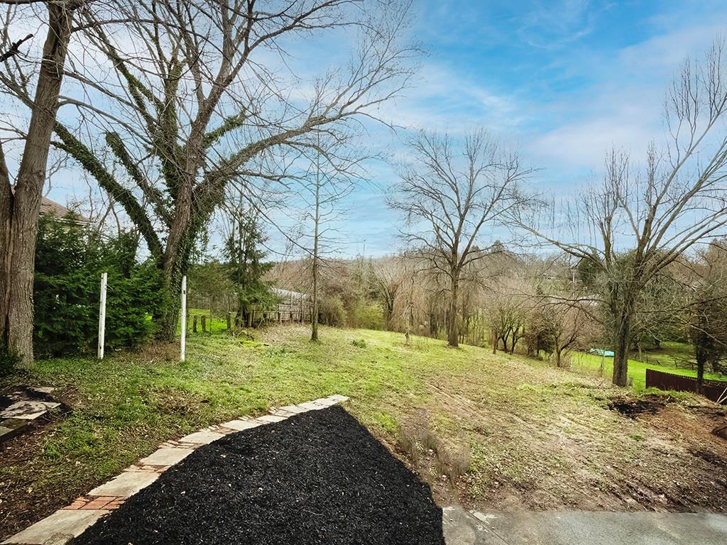 3040 Dutch Ridge Road Beaver, PA 15009 - Photo 30 of 30 a view of a backyard with large trees