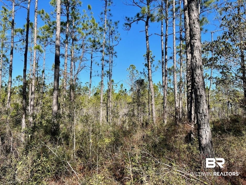 0 Country Road Deer Park, AL 36529 - Photo 25 of 46