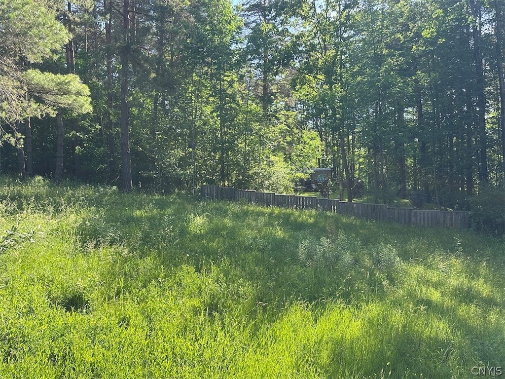 7803 Searles Road Belfast, NY 14739 - Photo 8 of 12