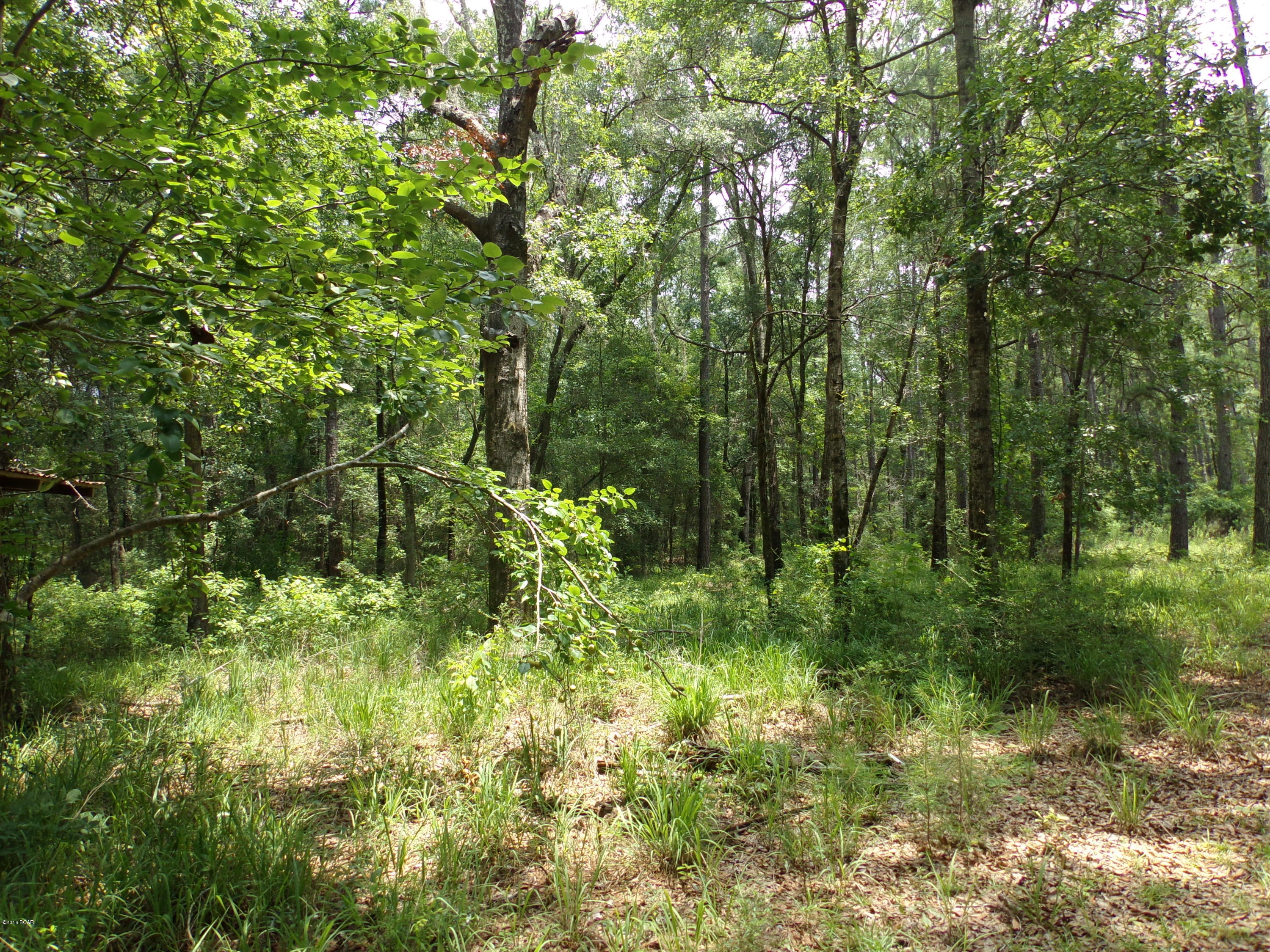5254 Choctaw Road Vernon, FL 32462 - Photo 4 of 6 Gallery Image 4