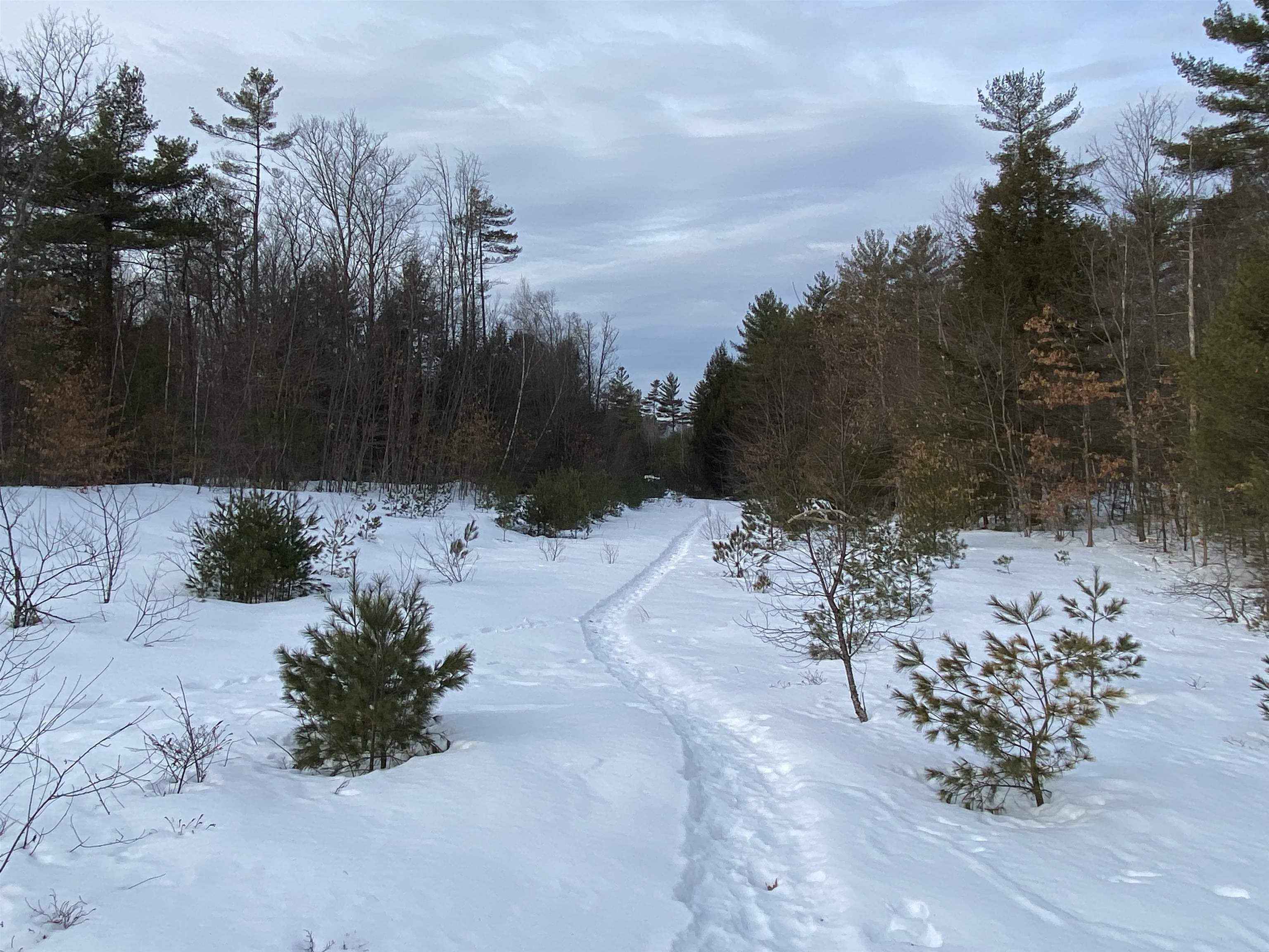 Fairgrounds Road Plymouth, NH 03264 - Photo 8 of 11 Gallery Image 8
