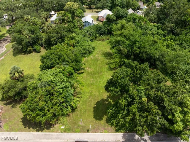 a view of a bunch of trees and bushes
