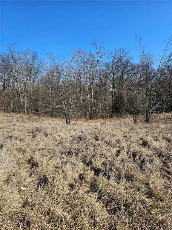 East 1000th Road Casey, IL 62420 - Photo 28 of 42 Gallery Image 28