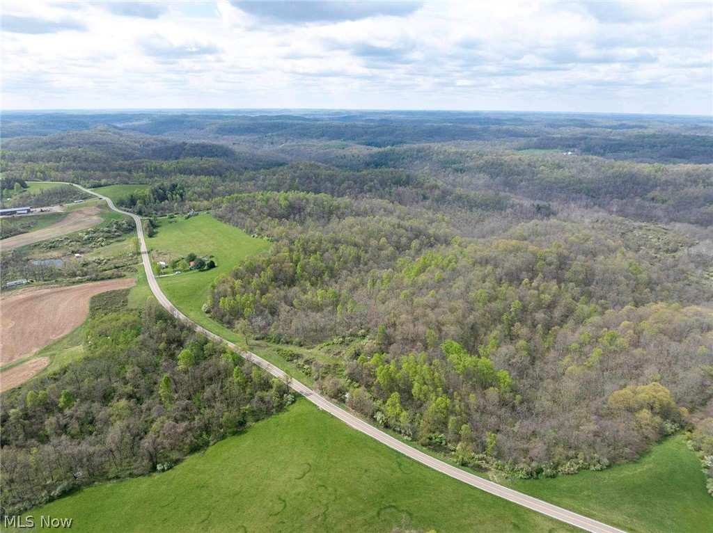 555 South State Route, Unit 1 698 ACRES Chesterhill, OH 43728 - Photo 6 of 7 View of birds eye view of property