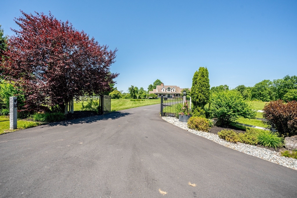 29 Bolles Road Wilbraham, MA 01095 - Photo 2 of 36 a view of a garden with plants and trees