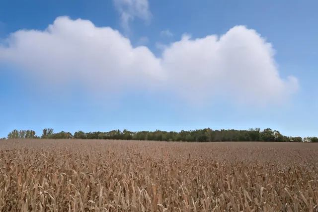 $1,295,000 | 10703 187th Street, Silver Lake, MN 55381