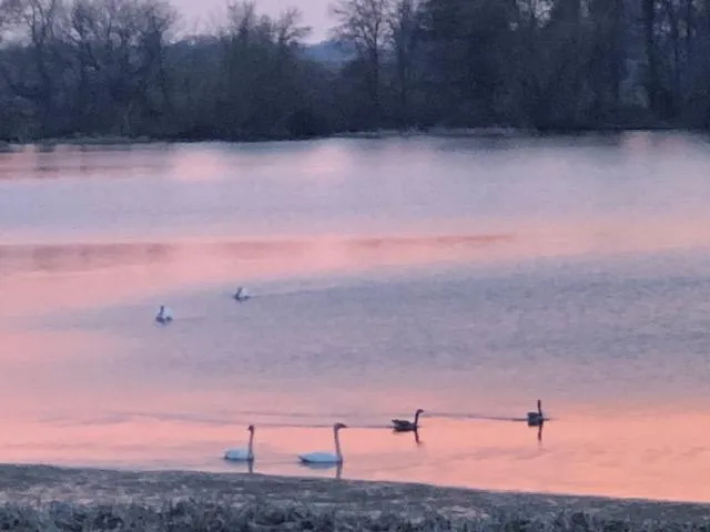 $1,295,000 | 10703 187th Street, Silver Lake, MN 55381