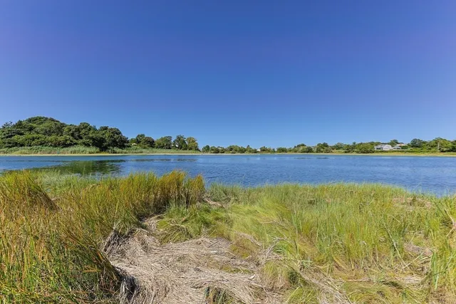 a view of a lake with houses in the back