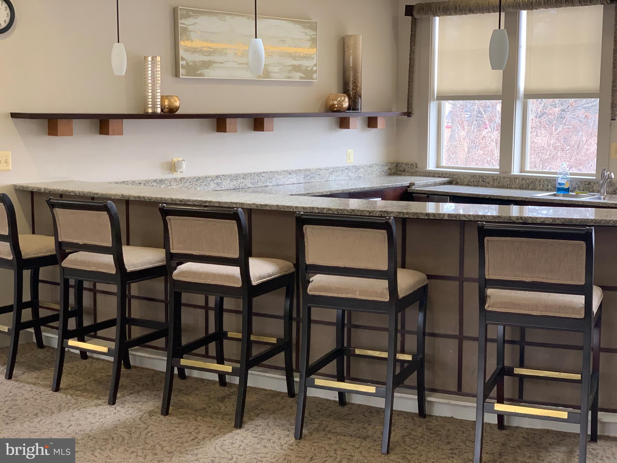 1781 Jonathan Way, Unit B Reston, VA 20190 - Photo 23 of 29 Parcreston Party Room