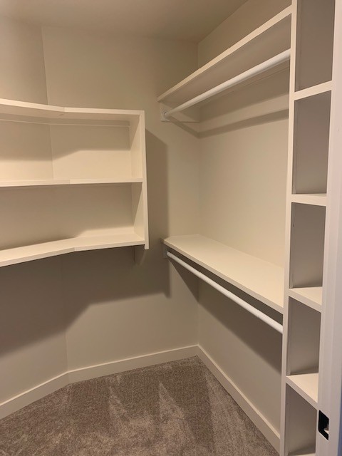 407 Bethlehem Road Lebanon, TN 37087 - Photo 22 of 39 a view of an empty walk in closet