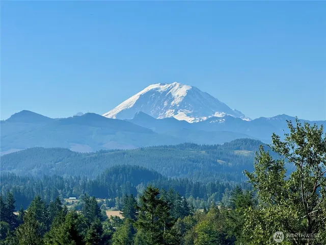 a view of a backyard of a house with a mountain