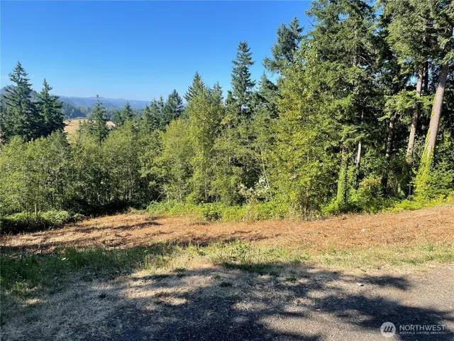 a view of a yard with a tree