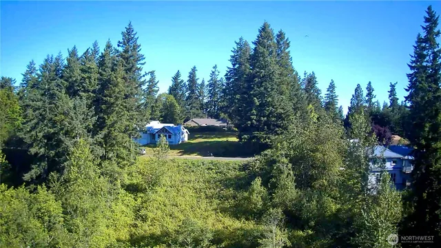 an outdoor space with lots of trees