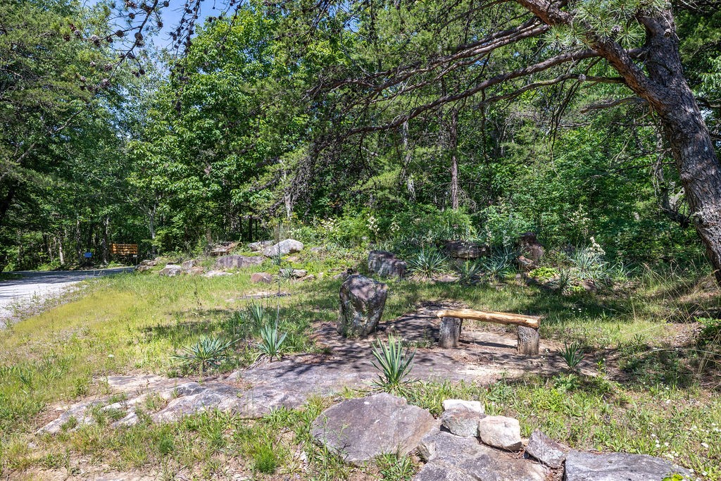 0 Valley View Drive Altamont, TN 37301 - Photo 3 of 23
