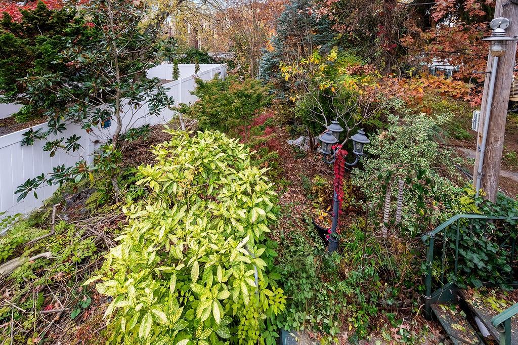 38 Corbin Place Brooklyn, NY 11235 - Photo 22 of 31 a picture of a tree