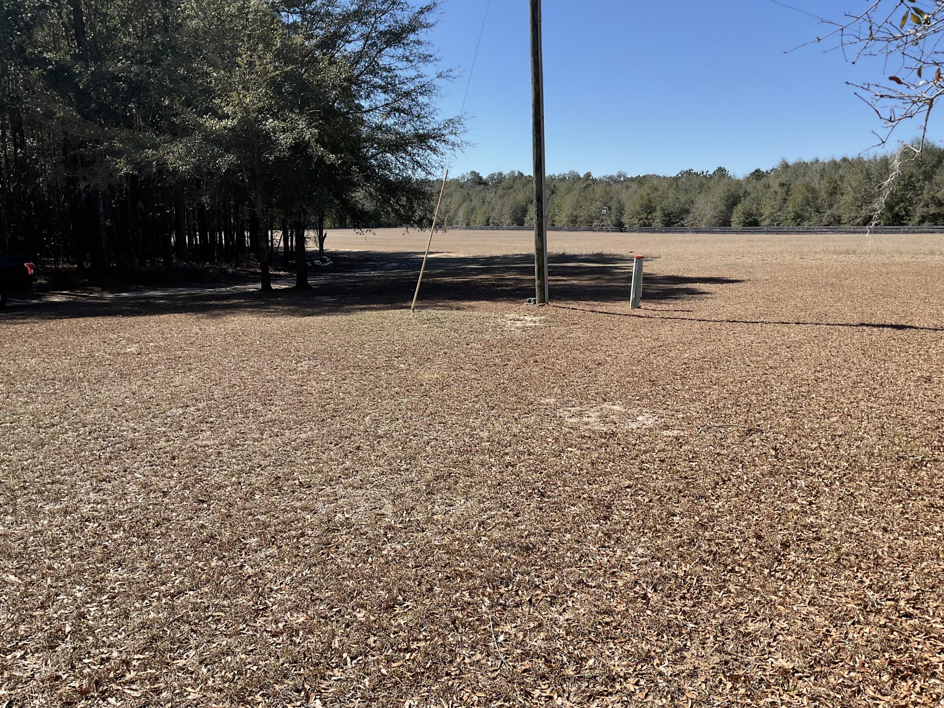 1114 Lott Bluff Road Blackville, SC 29817 - Photo 152 of 164