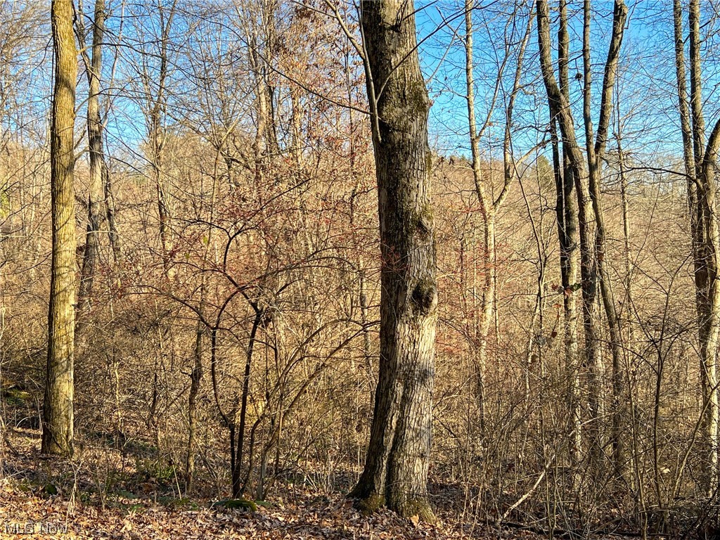 Edgington Road Danville, OH 43014 - Photo 15 of 26 View of nature