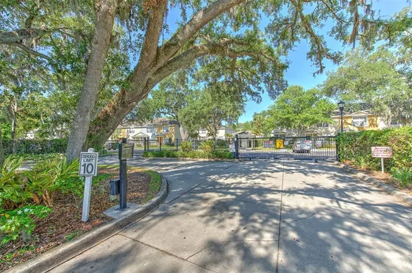 a view of yard with tree s