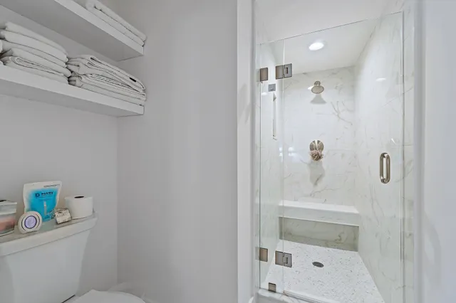 a bathroom with a shower and toilet