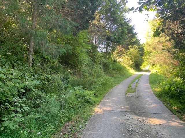700 Upper Salt River Road Danville, KY 40422 - Photo 48 of 50 driveway1