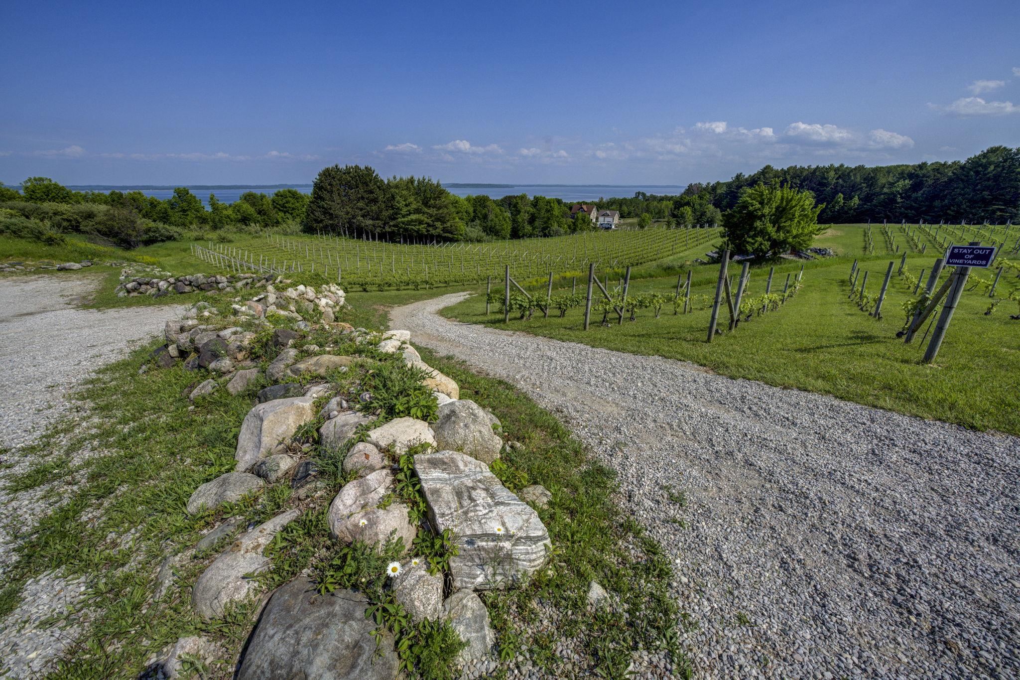 10702 East Hilltop Road Suttons Bay, MI 49682 - Photo 12 of 92
