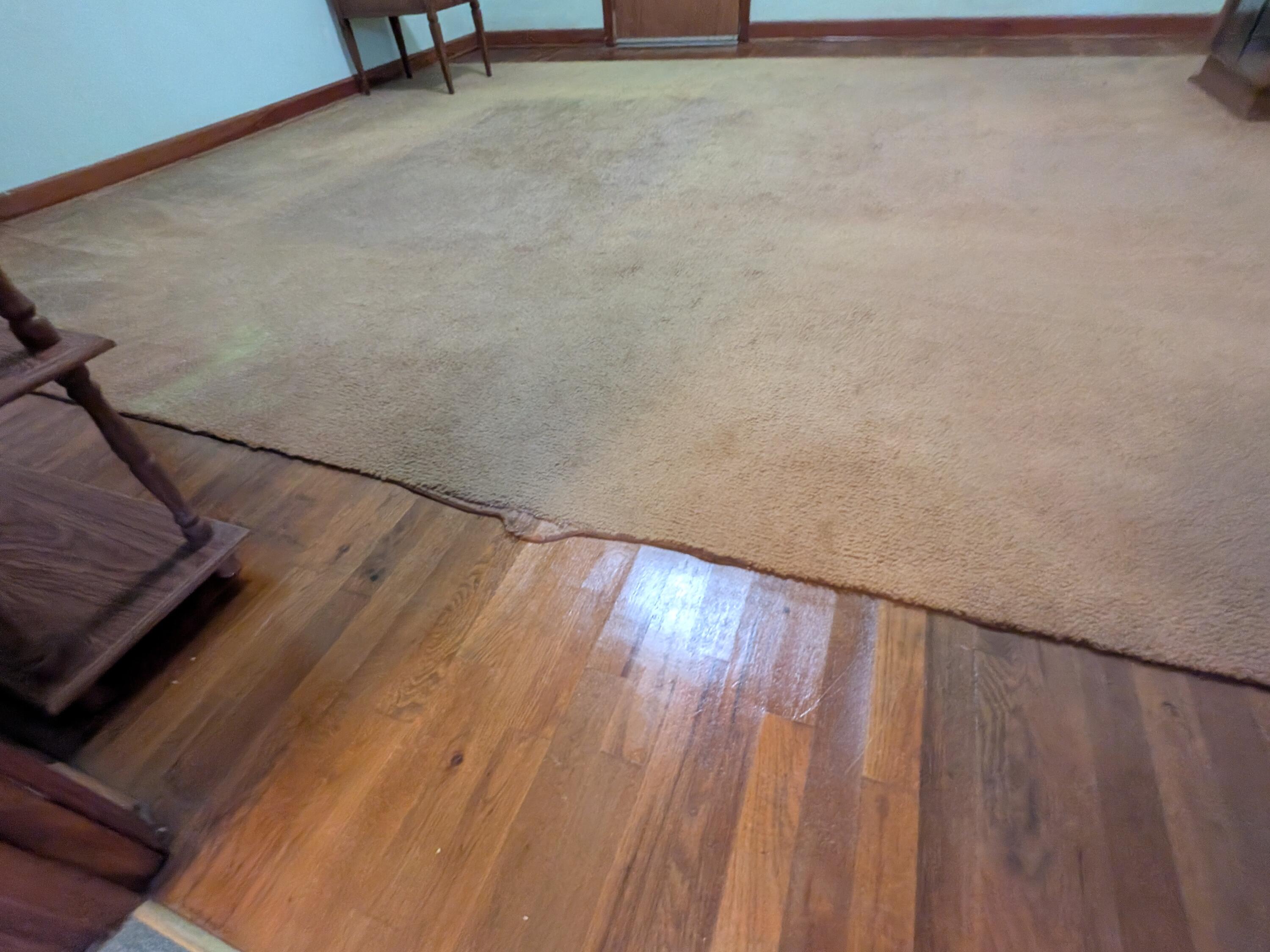 418 Mims Street Edgefield, SC 29824 - Photo 17 of 29 PXL_20260416_183905576
