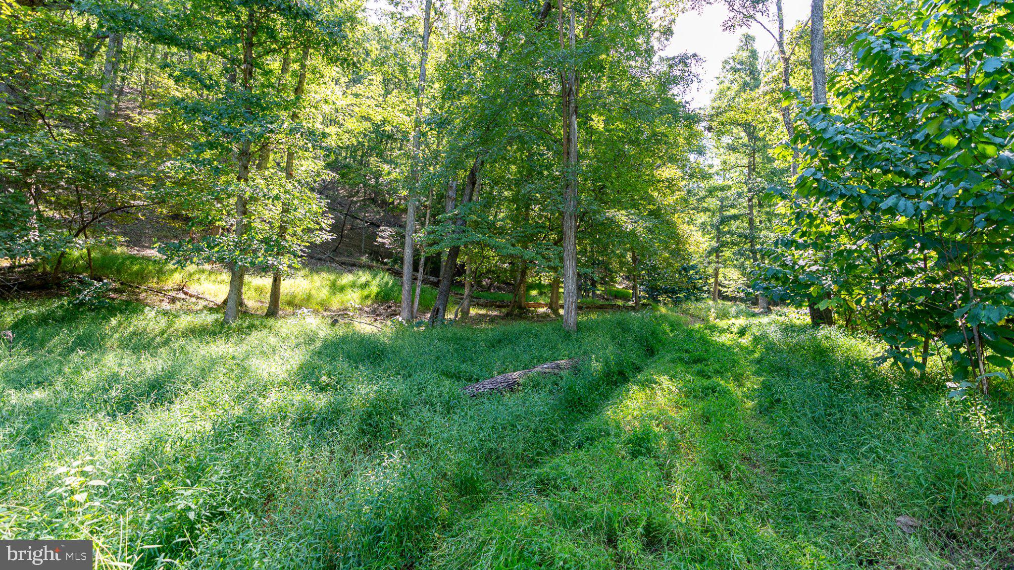 229 Inspiration Road Upper Tract, WV 26866 - Photo 17 of 30 Gallery Image 17