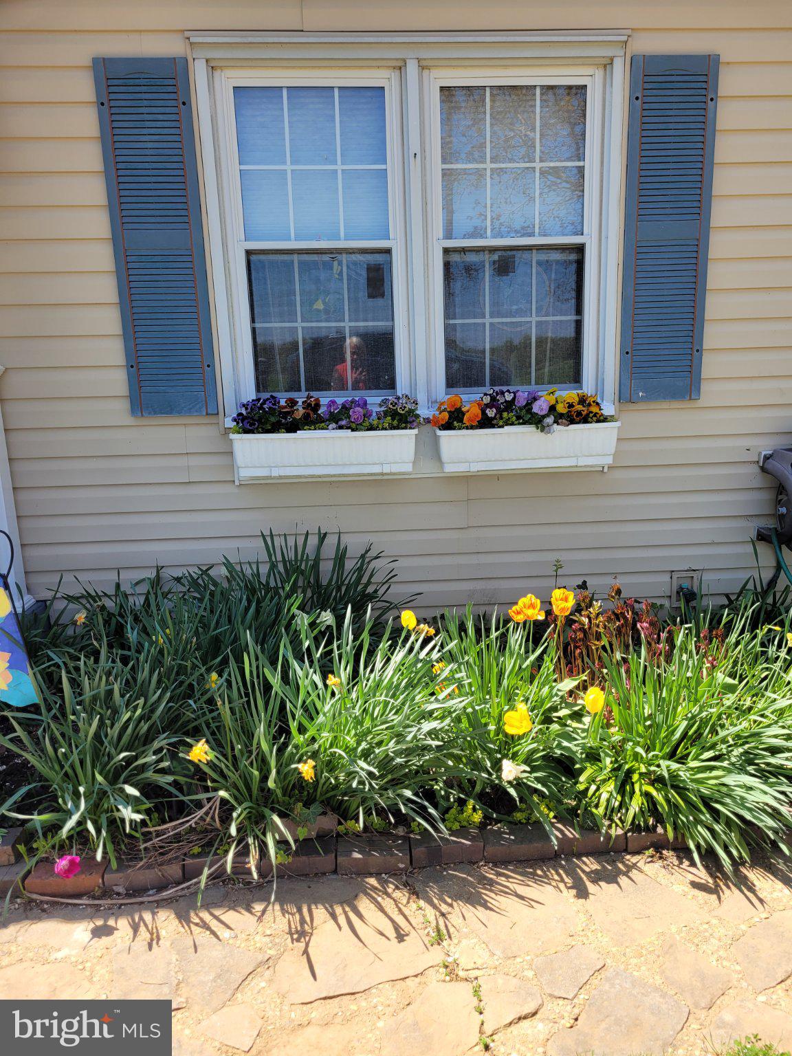 14136 Kentmore Park Road Kennedyville, MD 21645 - Photo 4 of 54 a front view of a building with a garden