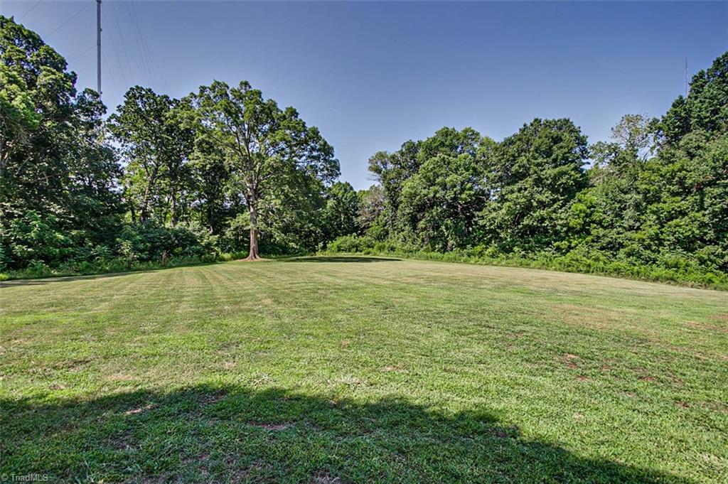 7699 Adams Farm Road Randleman, NC 27317 - Photo 22 of 30 Back yard
