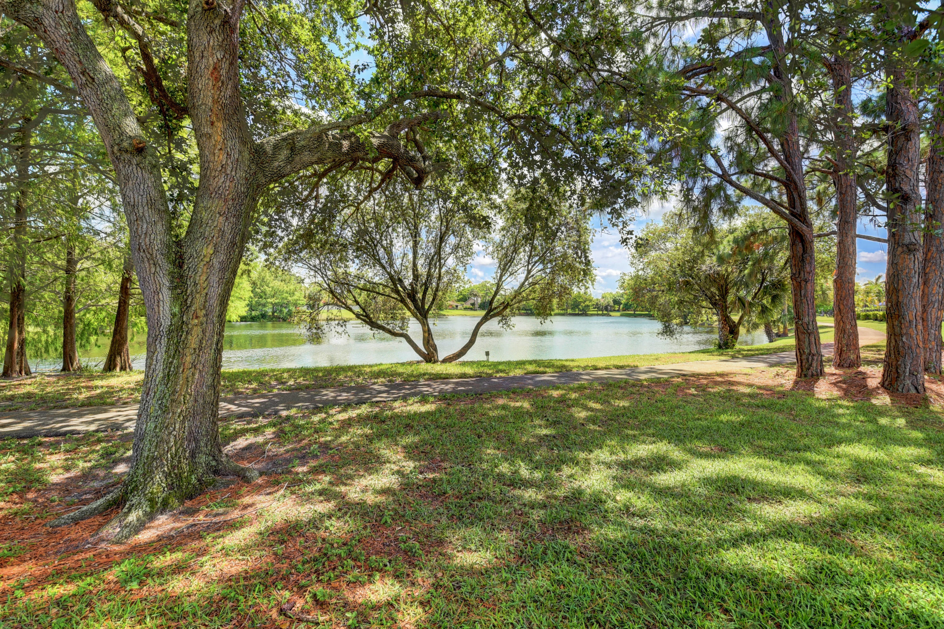 6318 Woodbury Road Boca Raton, FL 33433 - Photo 37 of 52 a view of a yard with a tree