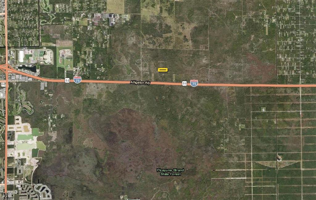 Black Burn Road Naples, FL 34117 - Photo 38 of 39 Gallery Image 38