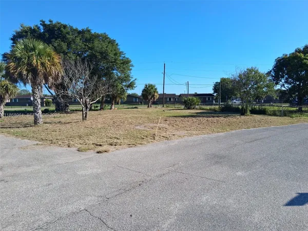 a view of yard with palm trees