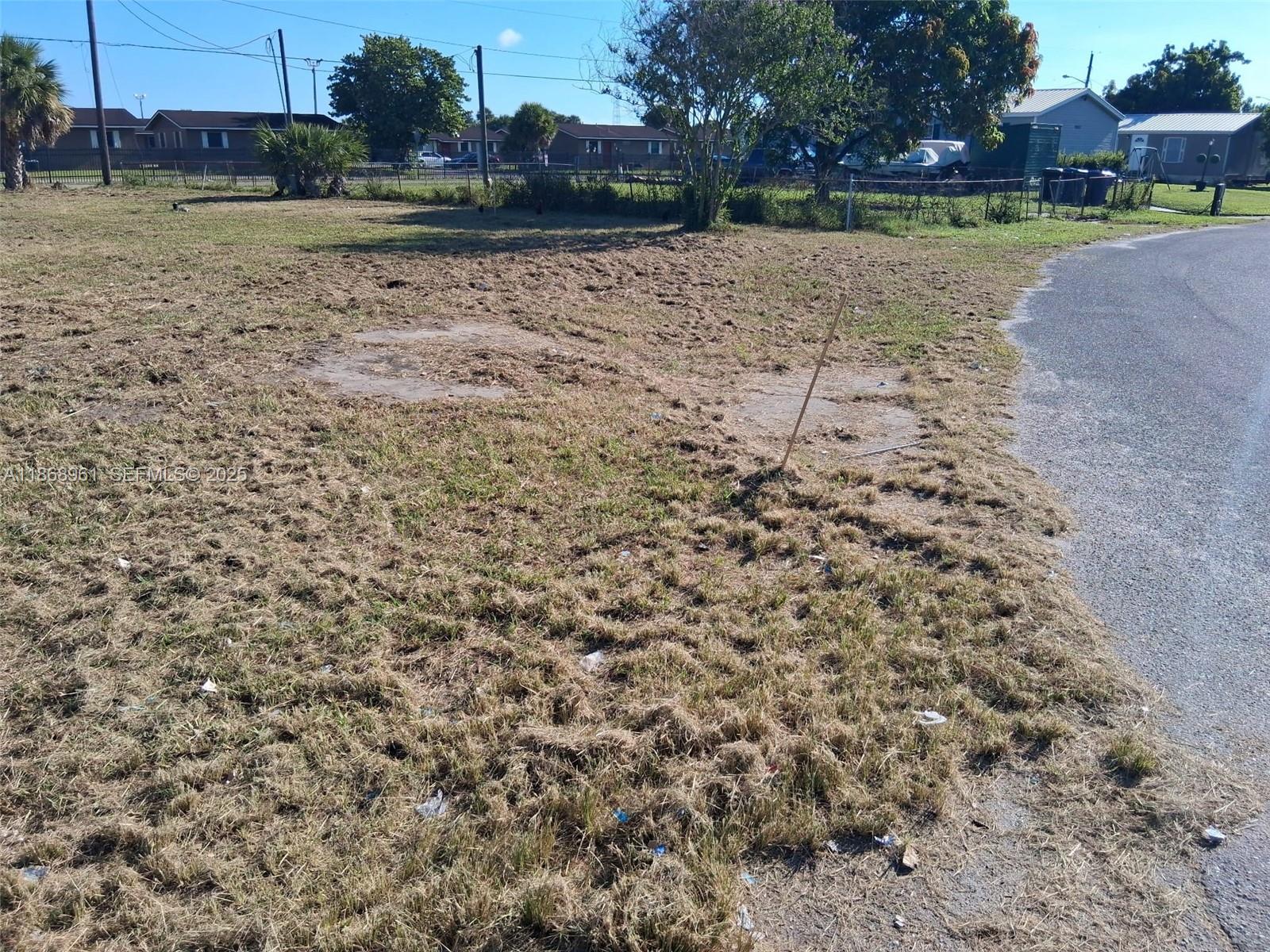 919 Virginia Avenue Clewiston, FL 33440 - Photo 3 of 11 a view of a yard with a house