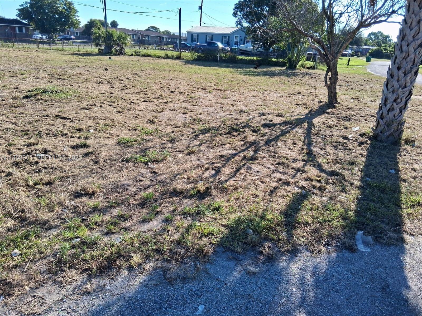 919 Virginia Avenue Clewiston, FL 33440 - Photo 7 of 11 a view of a yard with a tree
