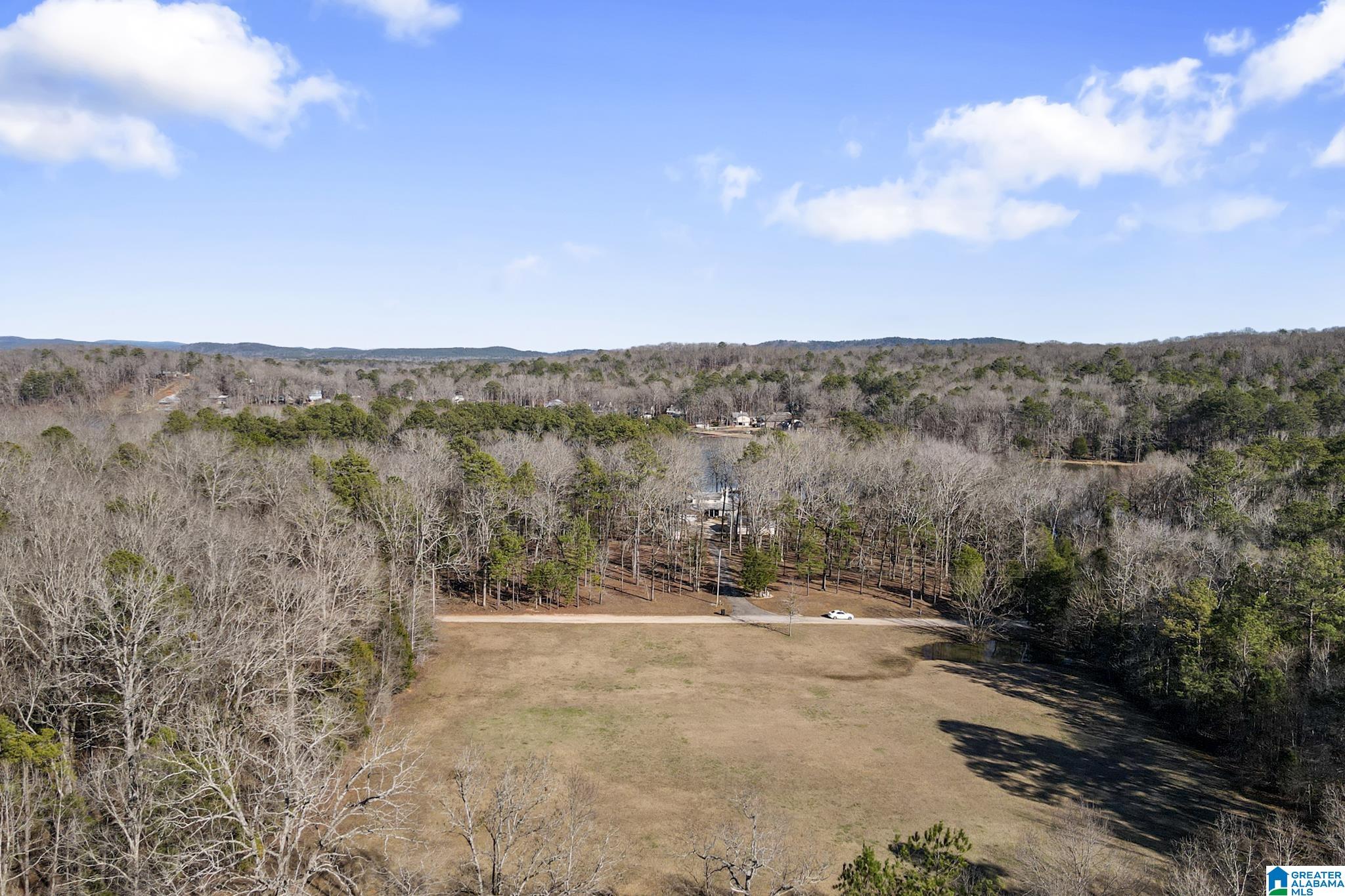 2570 South River Road Shelby, AL 35143 - Photo 4 of 78
