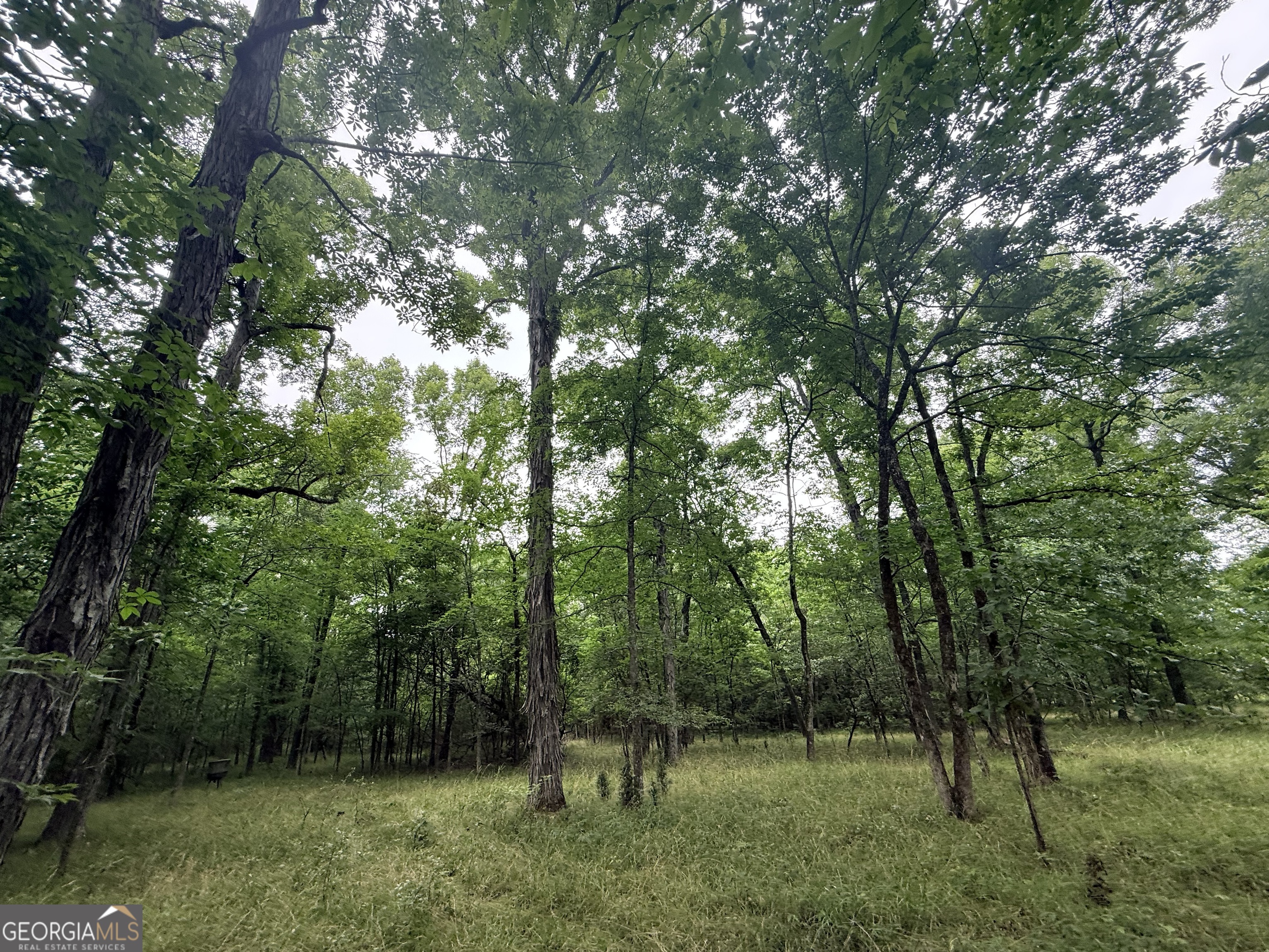 1 Bethesda Church Road Lexington, GA 30648 - Photo 25 of 78