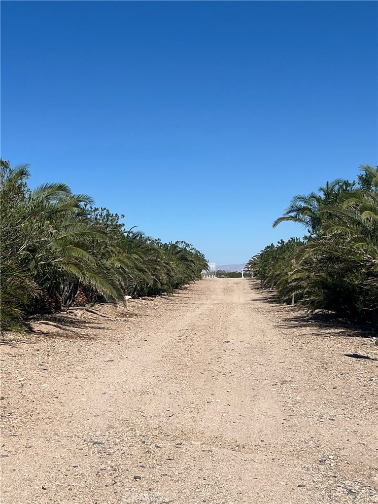 10163 Nipton Road Nipton, CA 92364 - Photo 4 of 4 a view of ocean beach and mountain