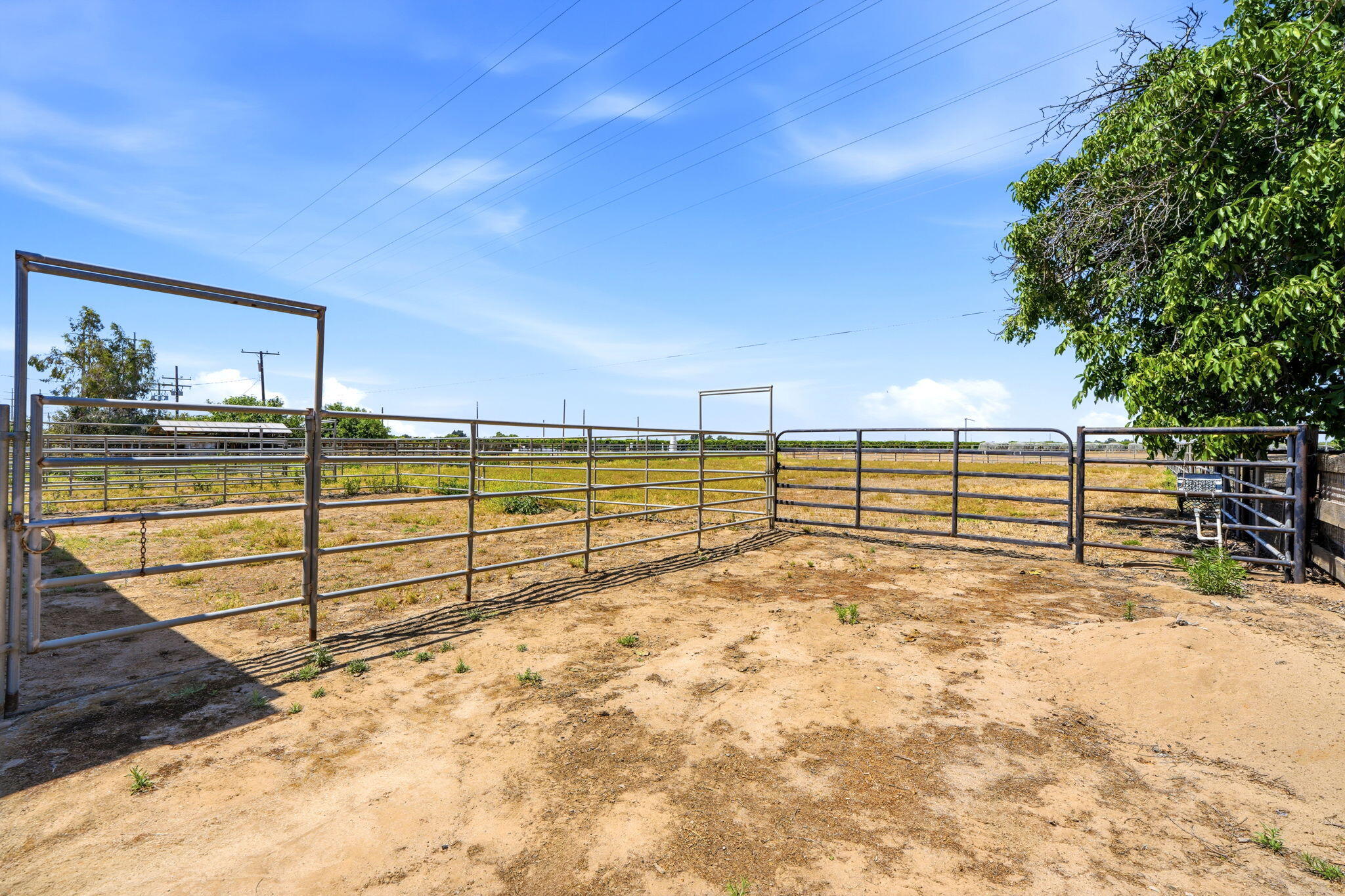 31121 Tower Road Visalia, CA 93292 - Photo 32 of 39 Backyard