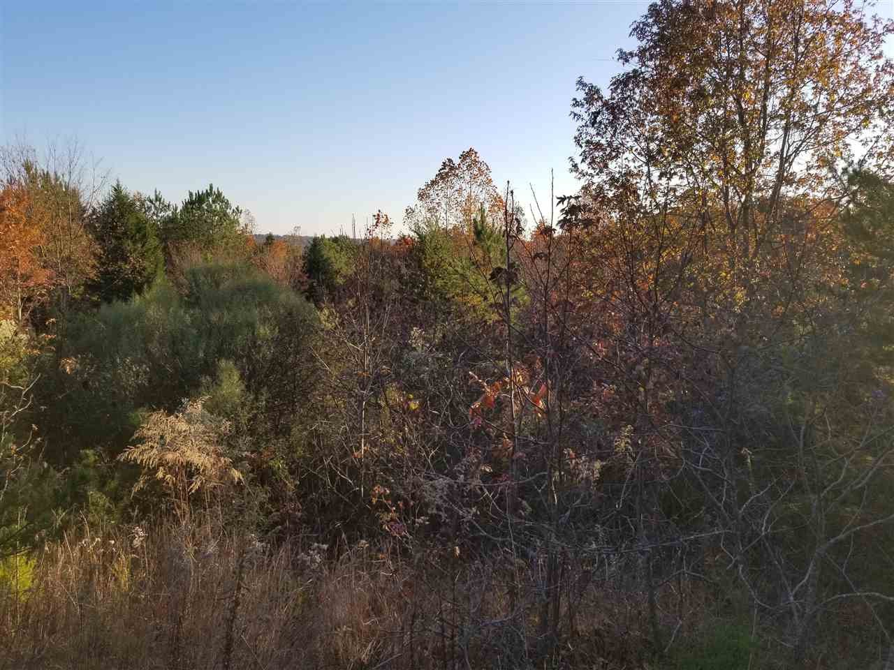 177 Walker Brow Ridge Road Northwest Cleveland, TN 37312 - Photo 7 of 9 Gallery Image 7