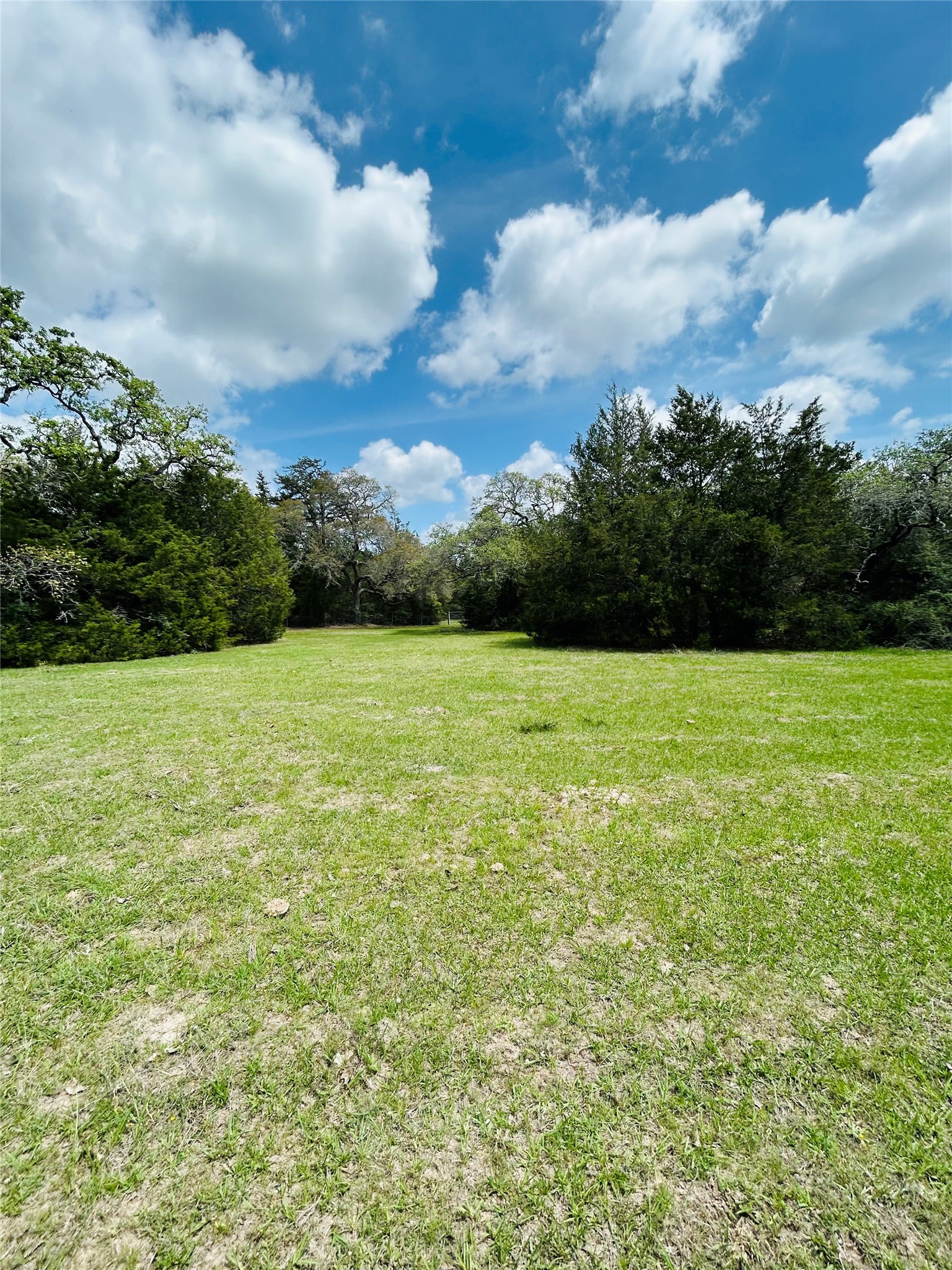 50-acres Dunlavy Road Cat Spring, TX 78933 - Photo 14 of 18