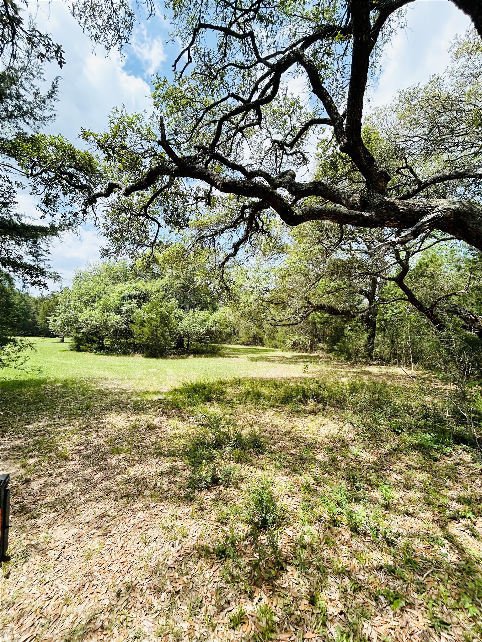 50-acres Dunlavy Road Cat Spring, TX 78933 - Photo 16 of 18
