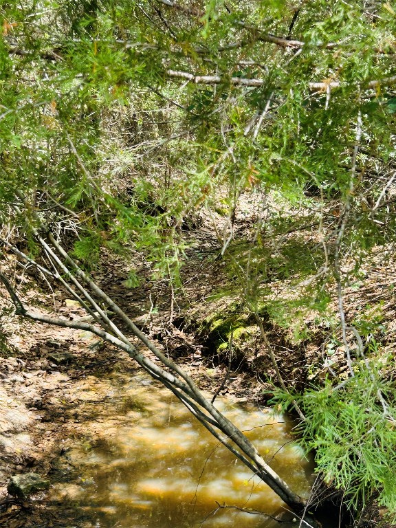 50-acres Dunlavy Road Cat Spring, TX 78933 - Photo 5 of 18