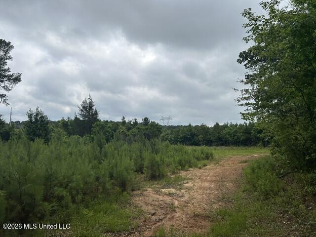 301 Freeman Road Southwest Summit, MS 39666 - Photo 36 of 43 IMG_4622