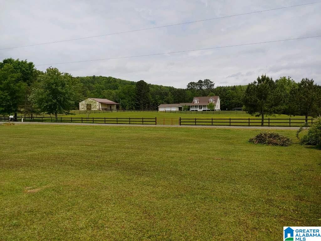 456 Slasham Road Ashville, AL 35953 - Photo 2 of 8